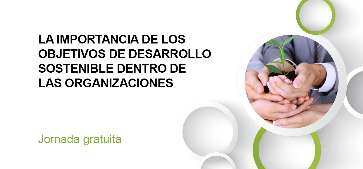 La importancia de los Objetivos de Desarrollo Sostenible dentro de las organizaciones